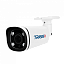 IP-камера TRASSIR TR-D2253WDZIR7 v2 2.7–13.5 Камеры TRASSIR